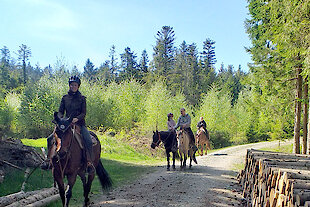 Reiturlaub in Bayern